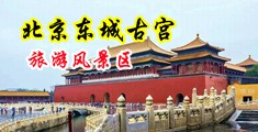 操骚屄视频免费在线观看中国北京-东城古宫旅游风景区